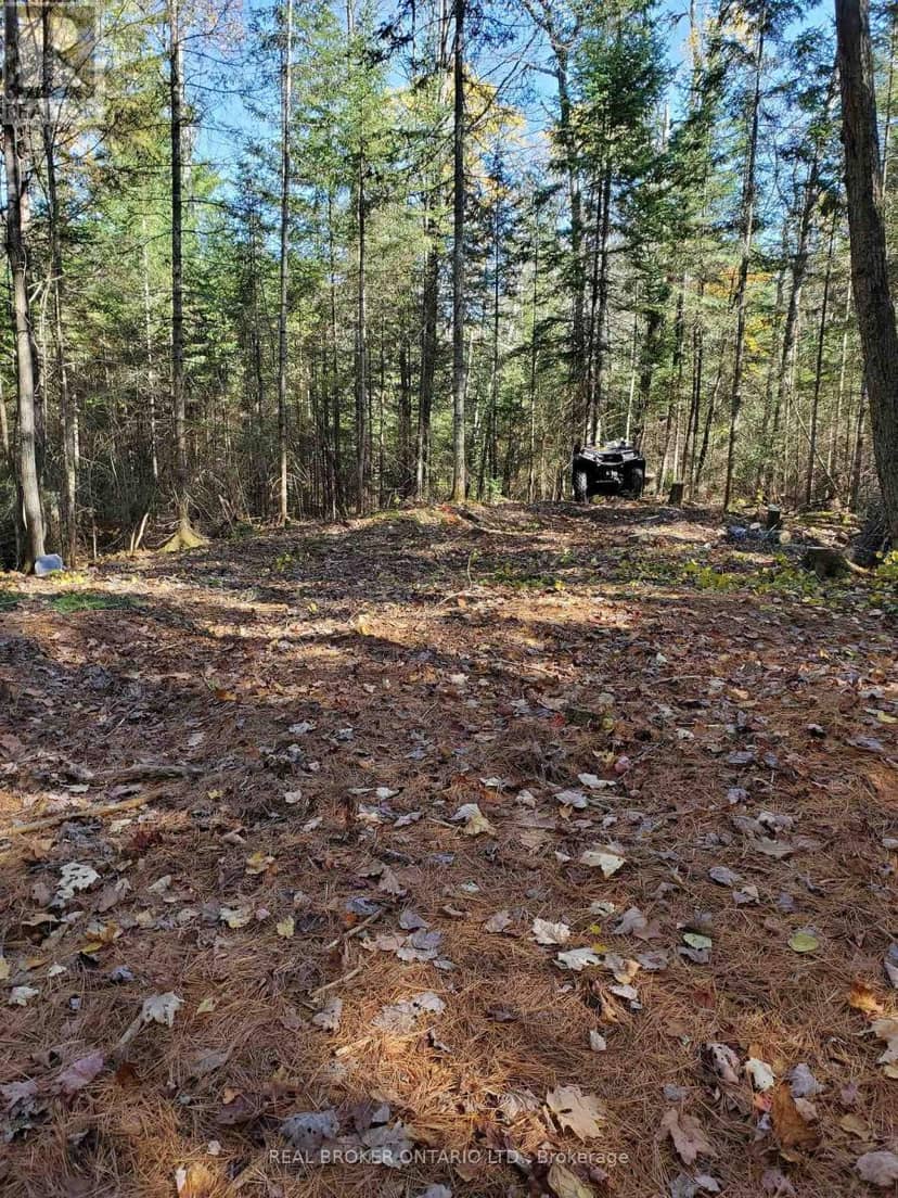 0 Bear Cave Road — photo 11 of 12