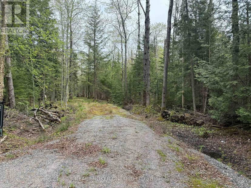 0 Bear Cave Road — photo 6 of 12