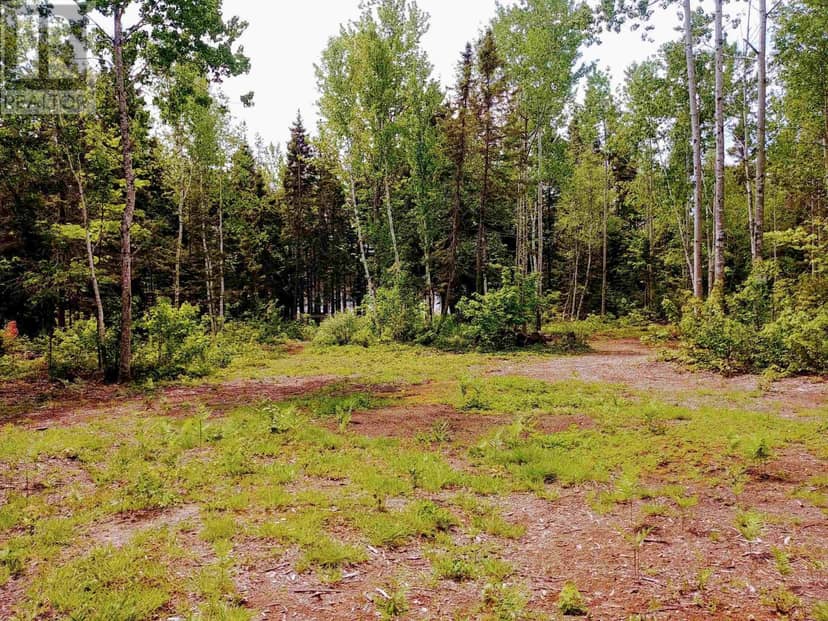 Acreage 22.0 Acres Point Pleasant Road — photo 11 of 21