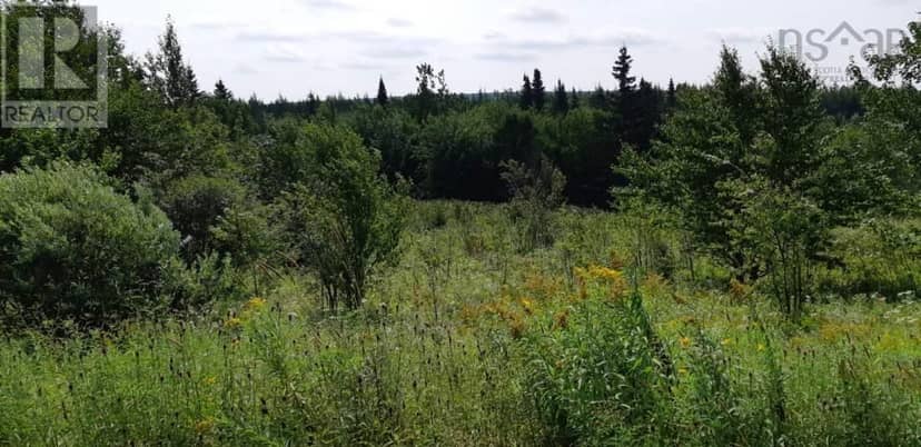Lot Salem Road — photo 4 of 5
