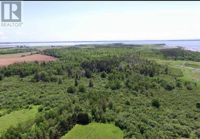 Acreage Little Marsh Road — photo 6 of 13