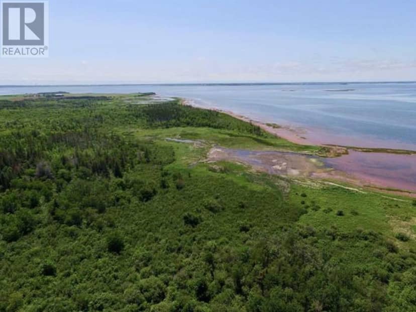 Acreage Little Marsh Road — photo 8 of 13