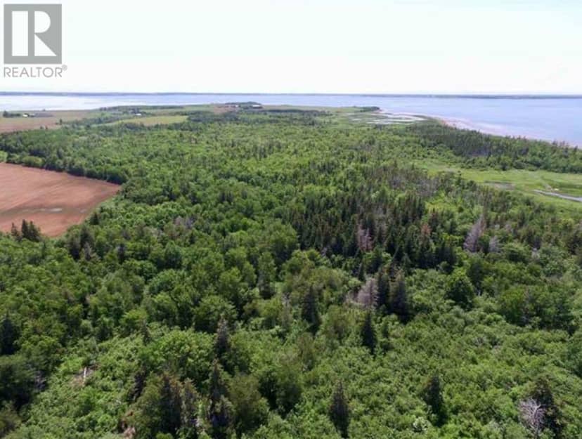 Acreage Little Marsh Road — photo 9 of 13