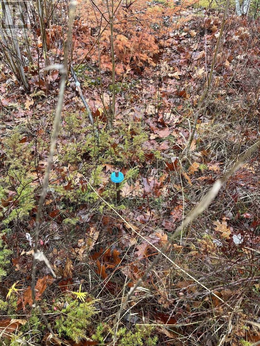 Lot 2021-1 Crocker Road — photo 11 of 11