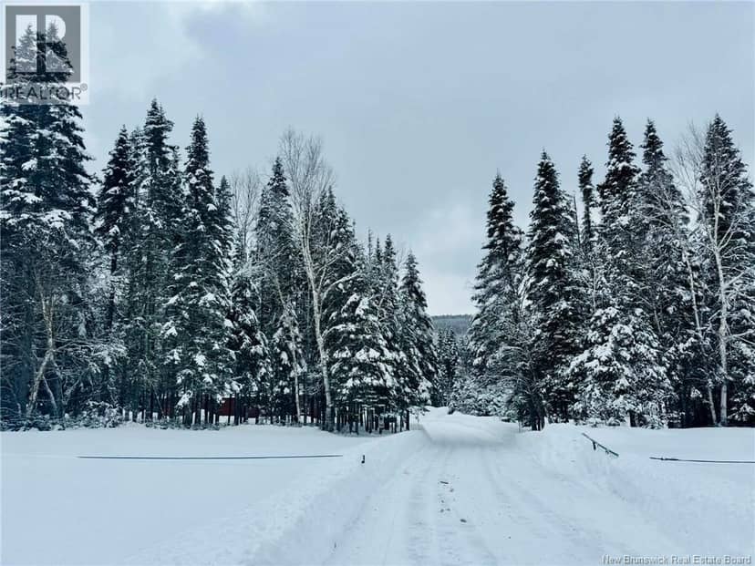Caribou Brook — photo 7 of 9