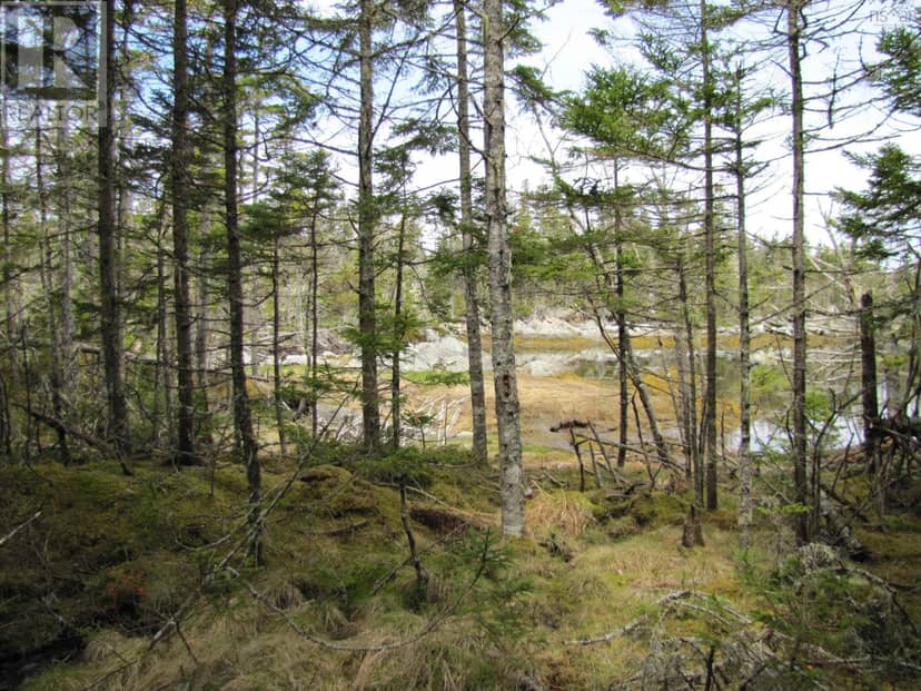 Lot 5 Hirtle Island — photo 28 of 31