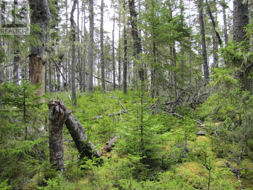 Lot 5 Hirtle Island — photo 30 of 31