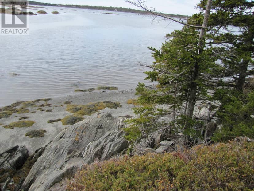 Lot 5 Hirtle Island — photo 8 of 31
