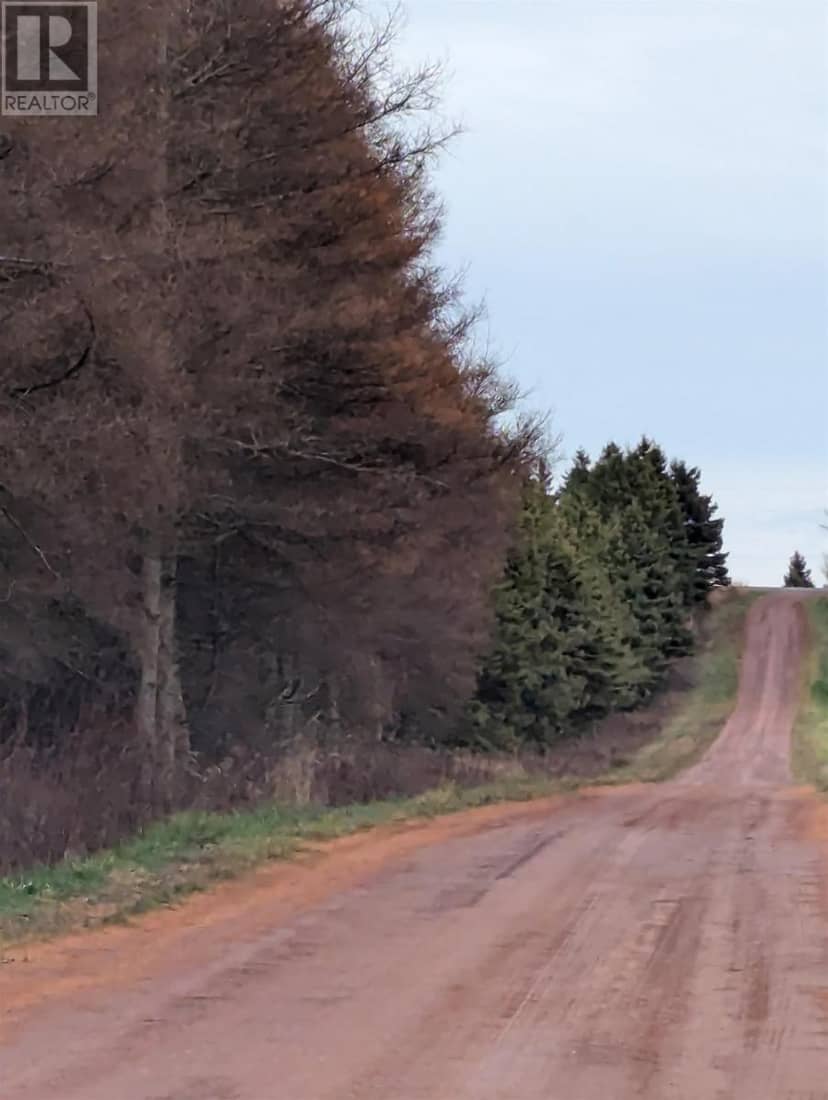 Acreage Jack Eloi Road, St. Chrysostome