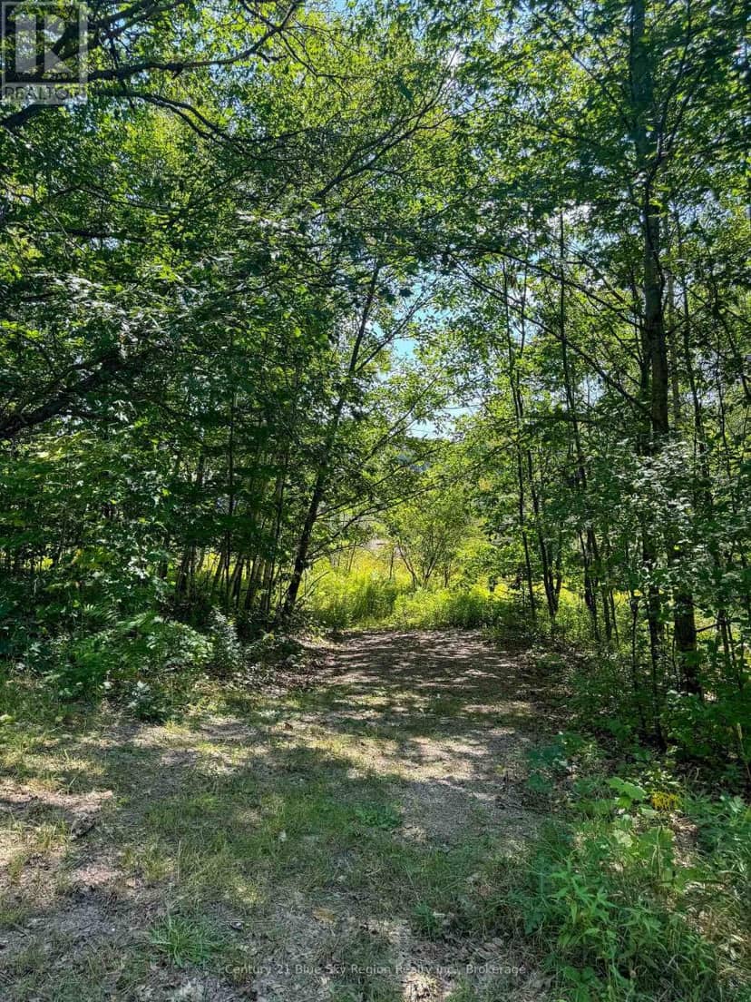 Pt Lt 13 South Shore Road — photo 10 of 11