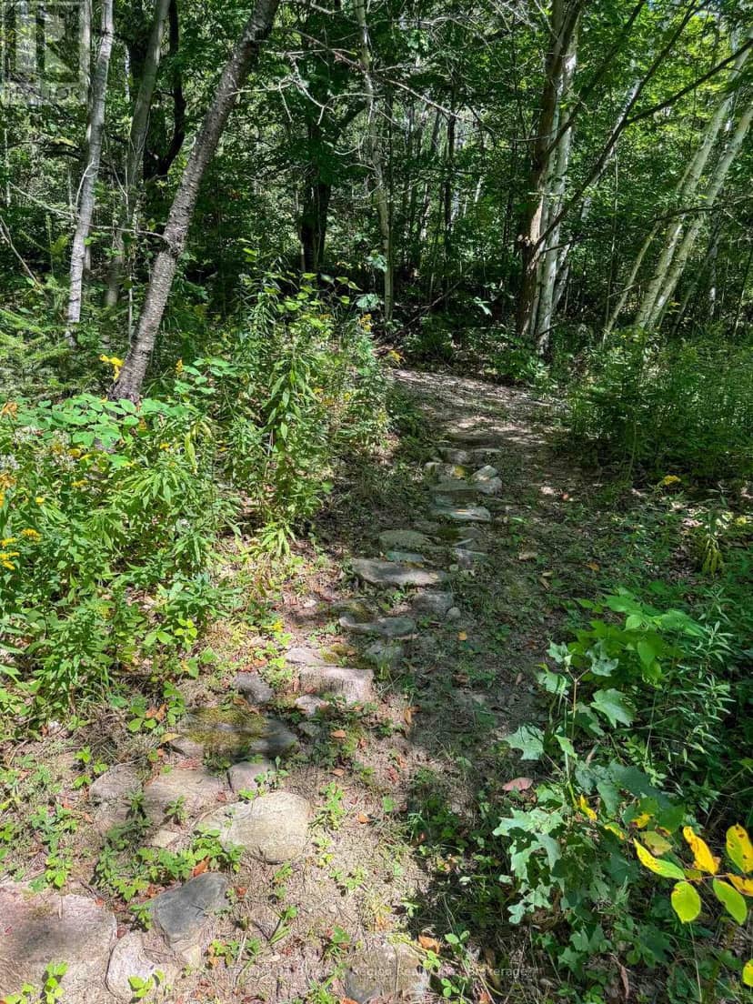 Pt Lt 13 South Shore Road — photo 8 of 11