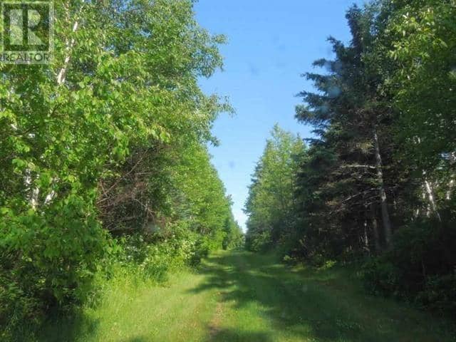 Lot Ponds Road — photo 10 of 14
