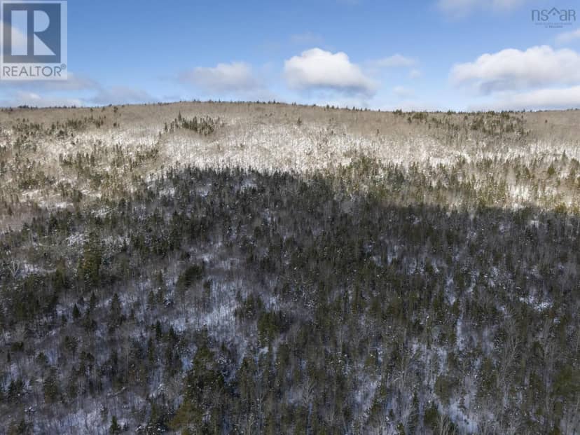 Lot Mckenzie Mountain Road — photo 7 of 24