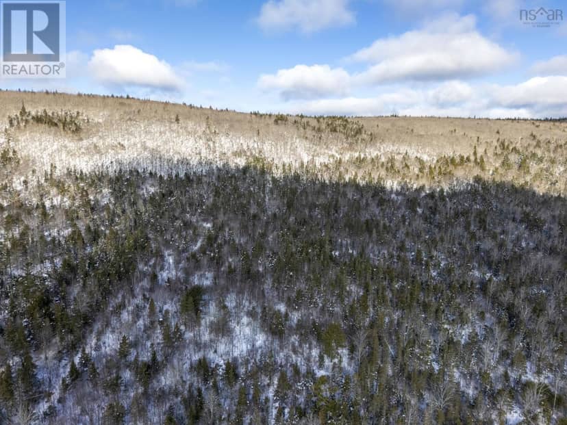 Lot Mckenzie Mountain Road — photo 6 of 24