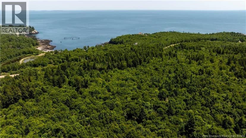 Lot 86-133 Fundy Drive, Campobello, photo 3