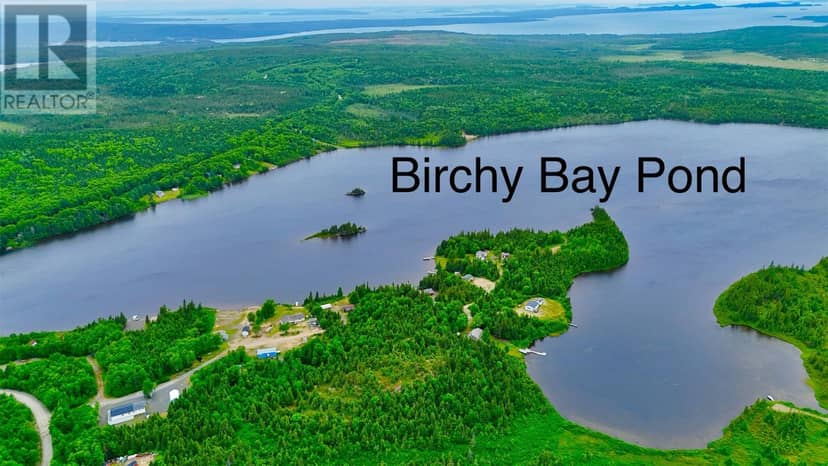 0 Birchy Bay Pond — photo 4 of 40