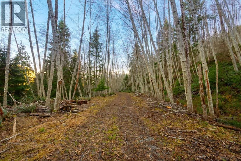 1049 GRAFTON ROAD, Bowen Island, photo 3
