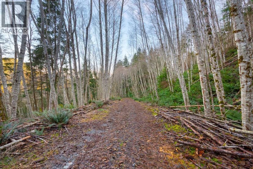 1049 GRAFTON ROAD, Bowen Island, photo 6