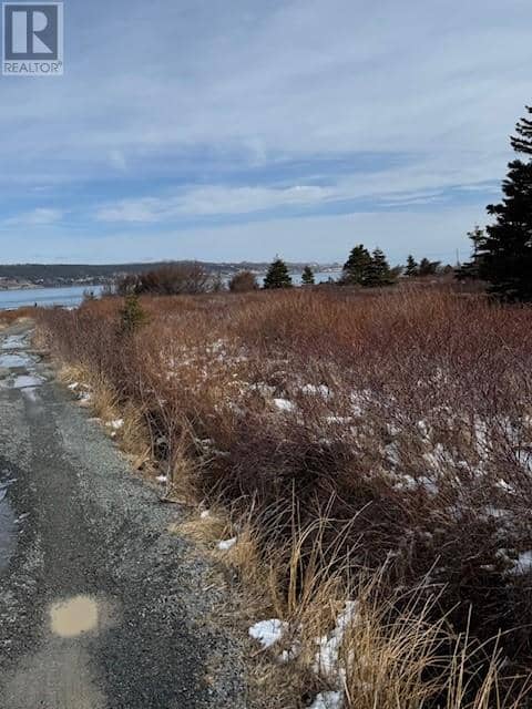 26 Bears Cove Road, Bay Roberts, photo 4