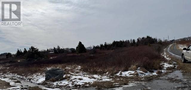 26 Bears Cove Road, Bay Roberts, photo 5