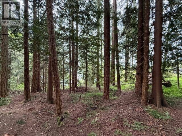 LOT 10 ELPHINSTONE AVENUE, Gibsons, photo 5