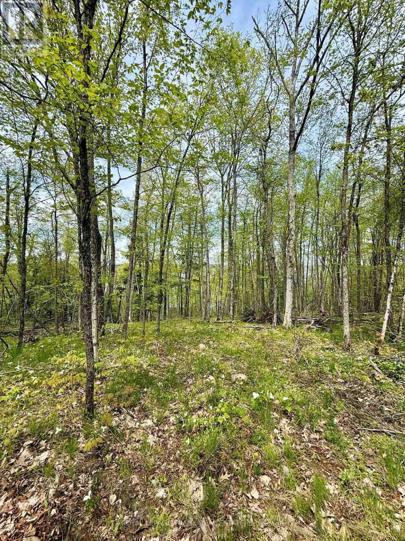00 Birchview Road — photo 8 of 10