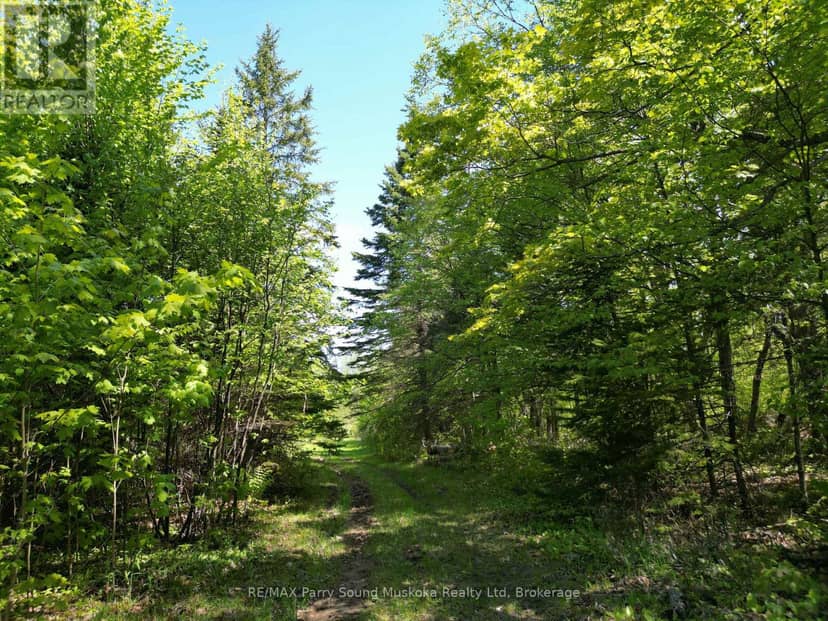 791 Clear Lake Road, Parry Sound Remote Area, photo 8