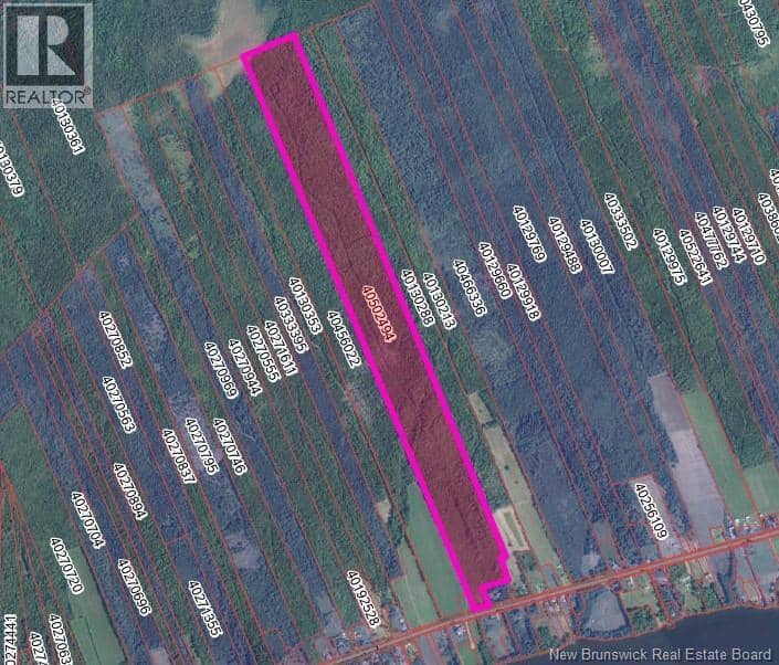 140 Acres Hwy 425, Whitney