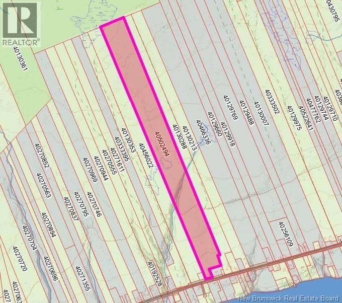 140 Acres Hwy 425, Whitney, photo 2