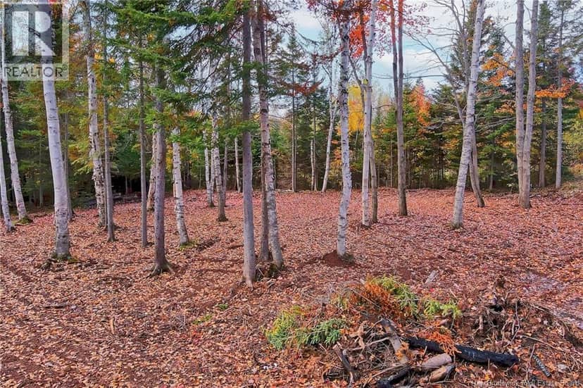 Lot 04-02 690 Route — photo 12 of 24
