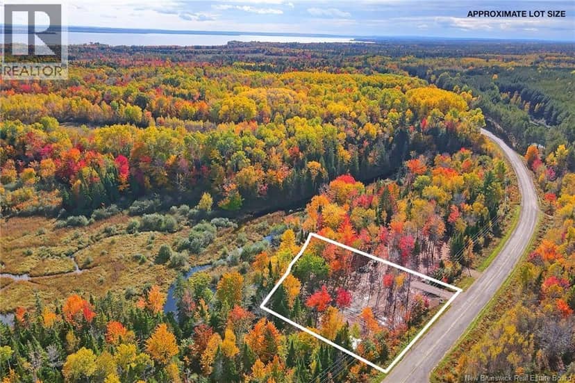 Lot 04-03 690 Route, Flowers Cove, photo 3