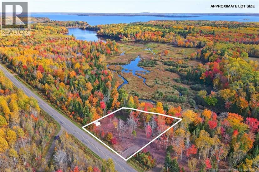 Lot 04-03 690 Route, Flowers Cove, photo 7