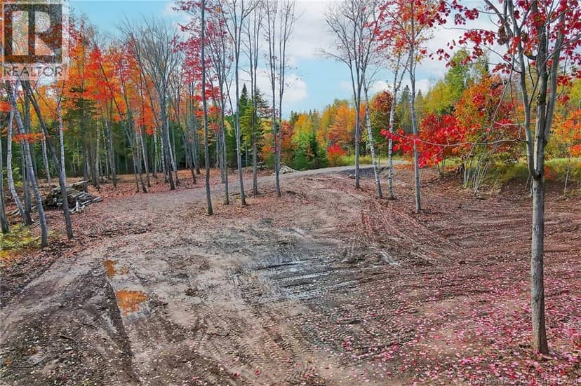 Lot 04-03 690 Route, Flowers Cove, photo 8