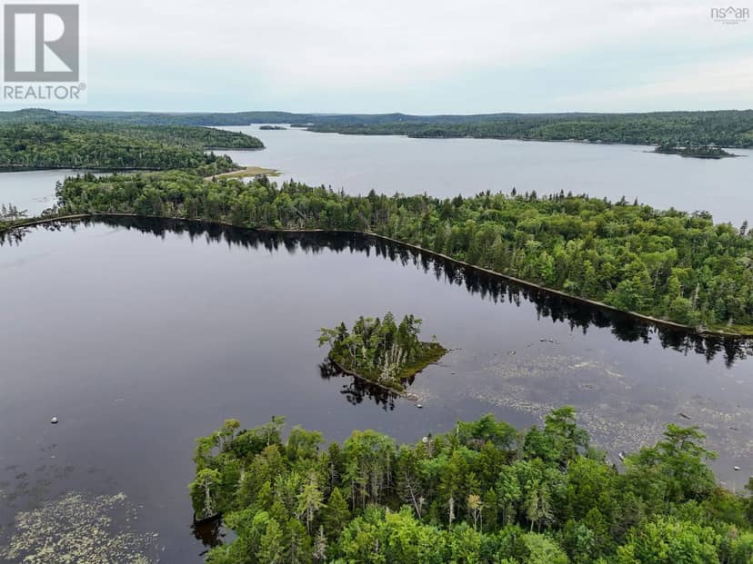 Level Spot Lake — photo 16 of 19
