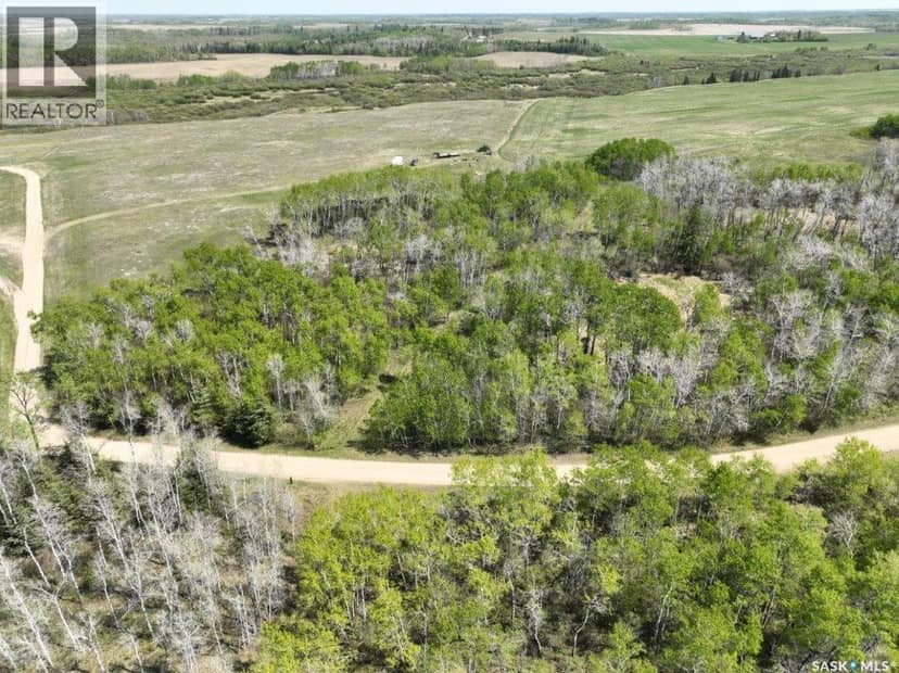 14.37 acres West/North Preeceville — photo 12 of 20