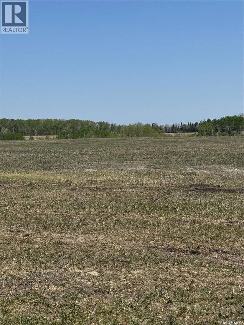 14.37 acres West/North Preeceville — photo 17 of 20