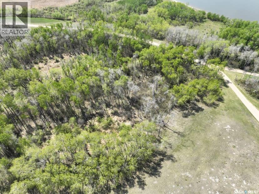 14.37 acres West/North Preeceville — photo 6 of 20