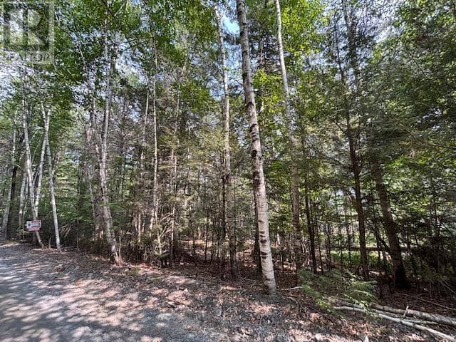 Lot 25 Beaver Dam Trail — photo 12 of 28