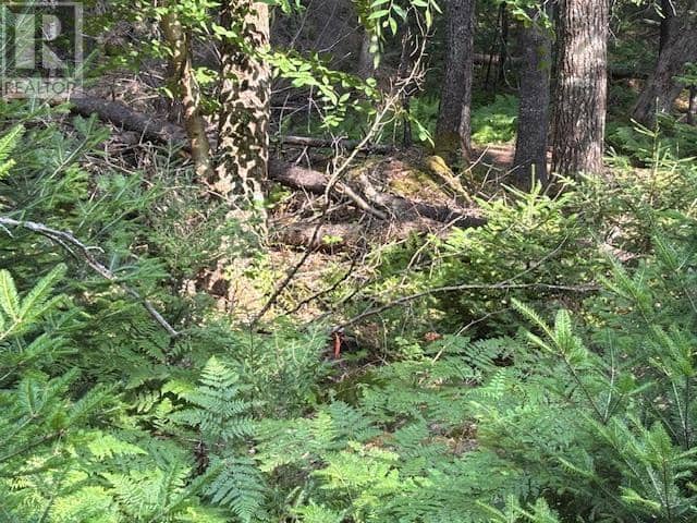 Lot 25 Beaver Dam Trail — photo 13 of 28