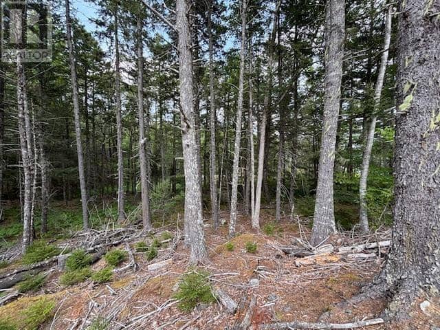 Lot 25 Beaver Dam Trail — photo 27 of 28