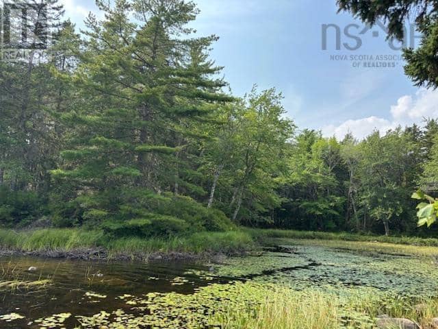 Lot 25 Beaver Dam Trail, Labelle, photo 3