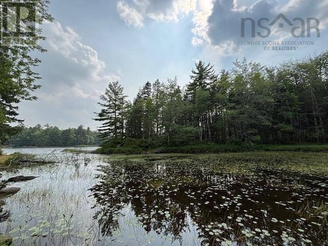 Lot 25 Beaver Dam Trail, Labelle, photo 8