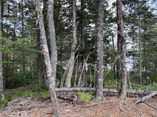 Lot 25 Beaver Dam Trail — photo 25 of 28