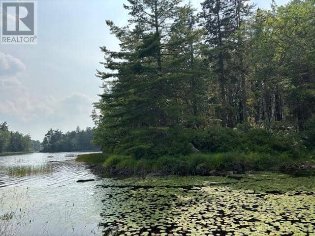 Lot 25 Beaver Dam Trail, Labelle, photo 6