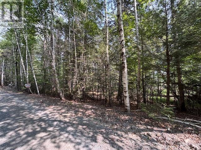 Lot 25 Beaver Dam Trail — photo 11 of 28
