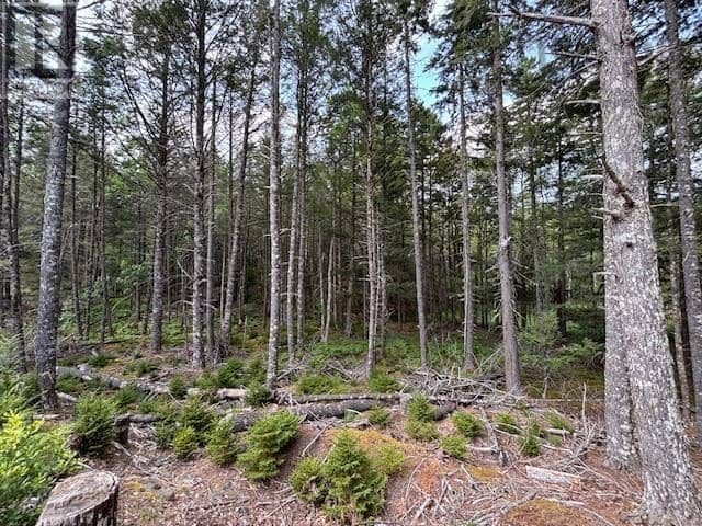 Lot 25 Beaver Dam Trail — photo 28 of 28