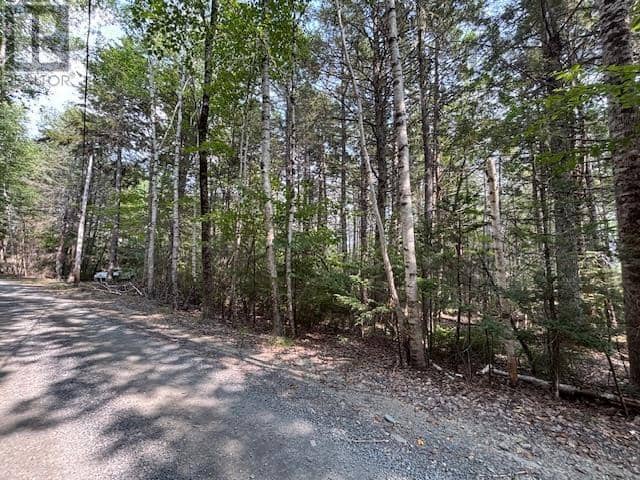 Lot 25 Beaver Dam Trail — photo 9 of 28