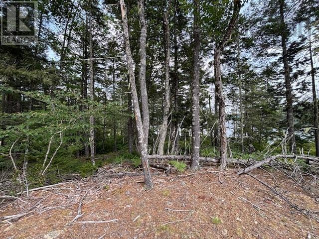Lot 25 Beaver Dam Trail — photo 26 of 28