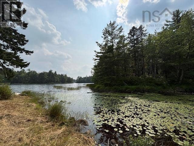 Lot 25 Beaver Dam Trail, Labelle, photo 7