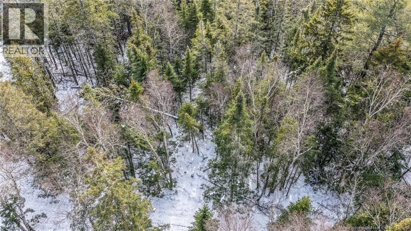 Lot Todds Point Road — photo 23 of 24